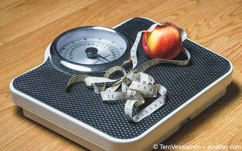 BMI Rechner BMI Rechner